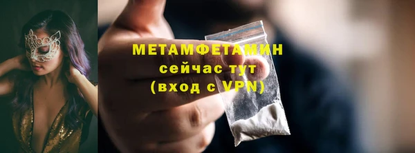 шишки Пестово