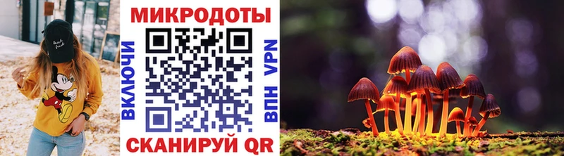 Псилоцибиновые грибы Psilocybine cubensis  omg ССЫЛКА  Пойковский 