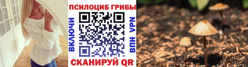 Псилоцибиновые грибы GOLDEN TEACHER Пойковский